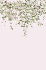 Classic Clematis Mural Wallpaper - Project Nursery
