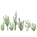 Deserted Cactus Dream Wall Decal Set