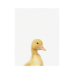 Duckling Little Darling Print - Project Nursery