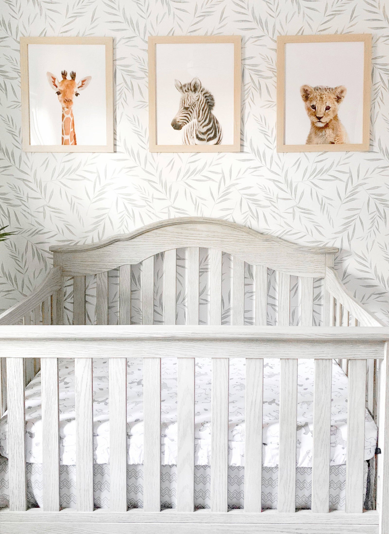 Light Green Botanical Foliage Wallpaper - Project Nursery