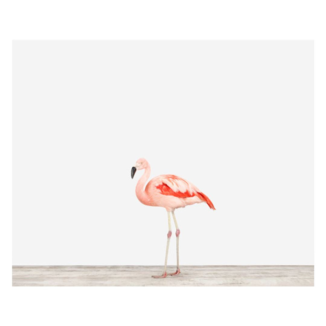 Flamingo Print - Project Nursery
