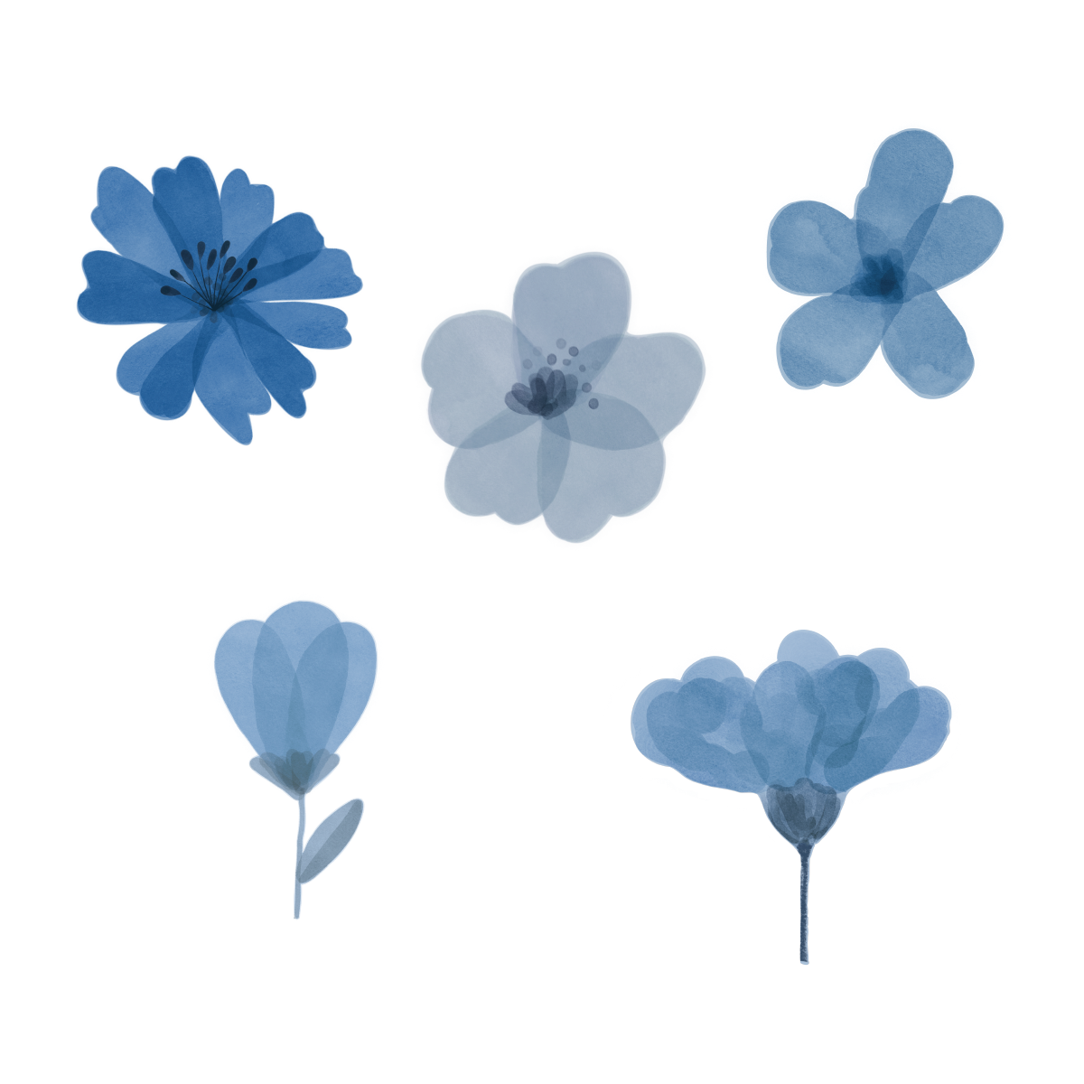 Flowery Wall Decals - Blue