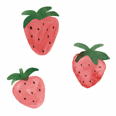 Strawberries Wall Decal Set – Project Nursery