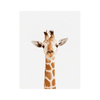 Baby Giraffe Little Darling Print - Project Nursery