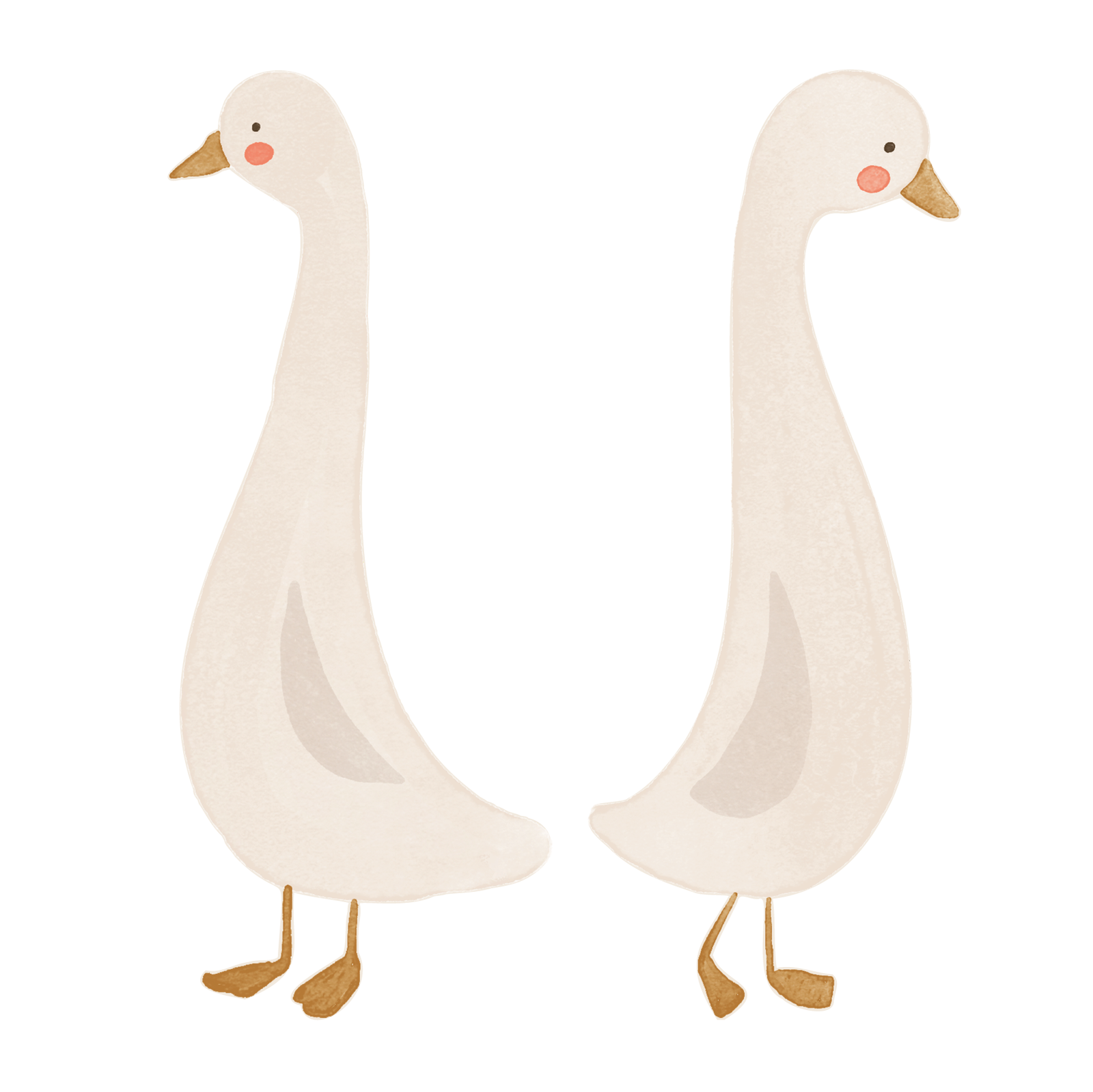 gender neutral goose decals close up view