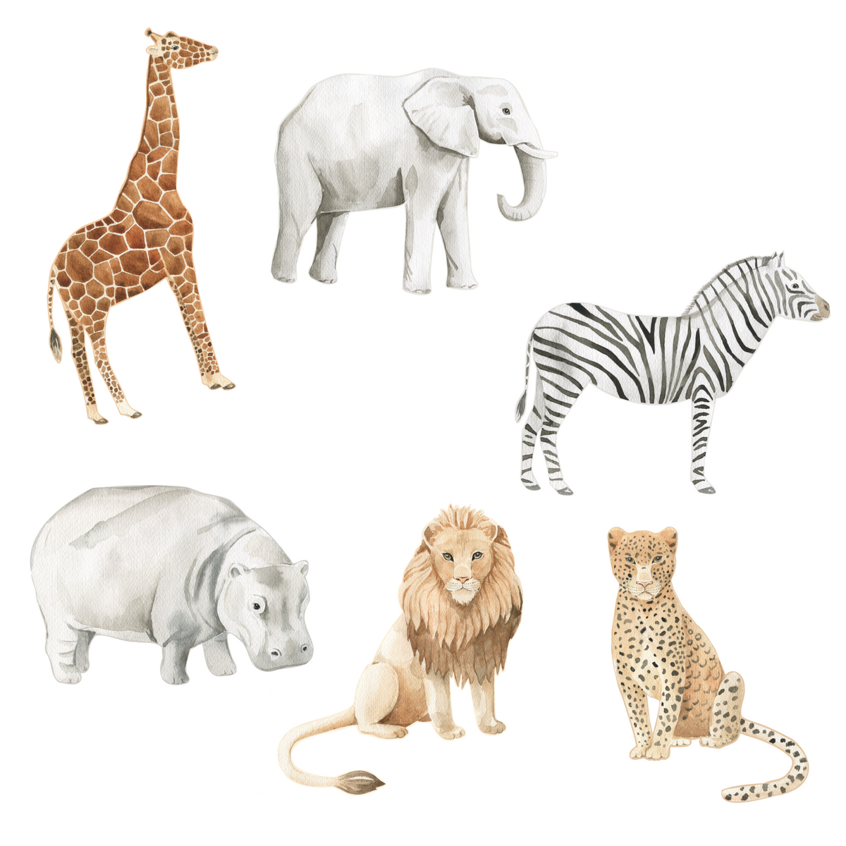 Jungle Animal Wall Decals