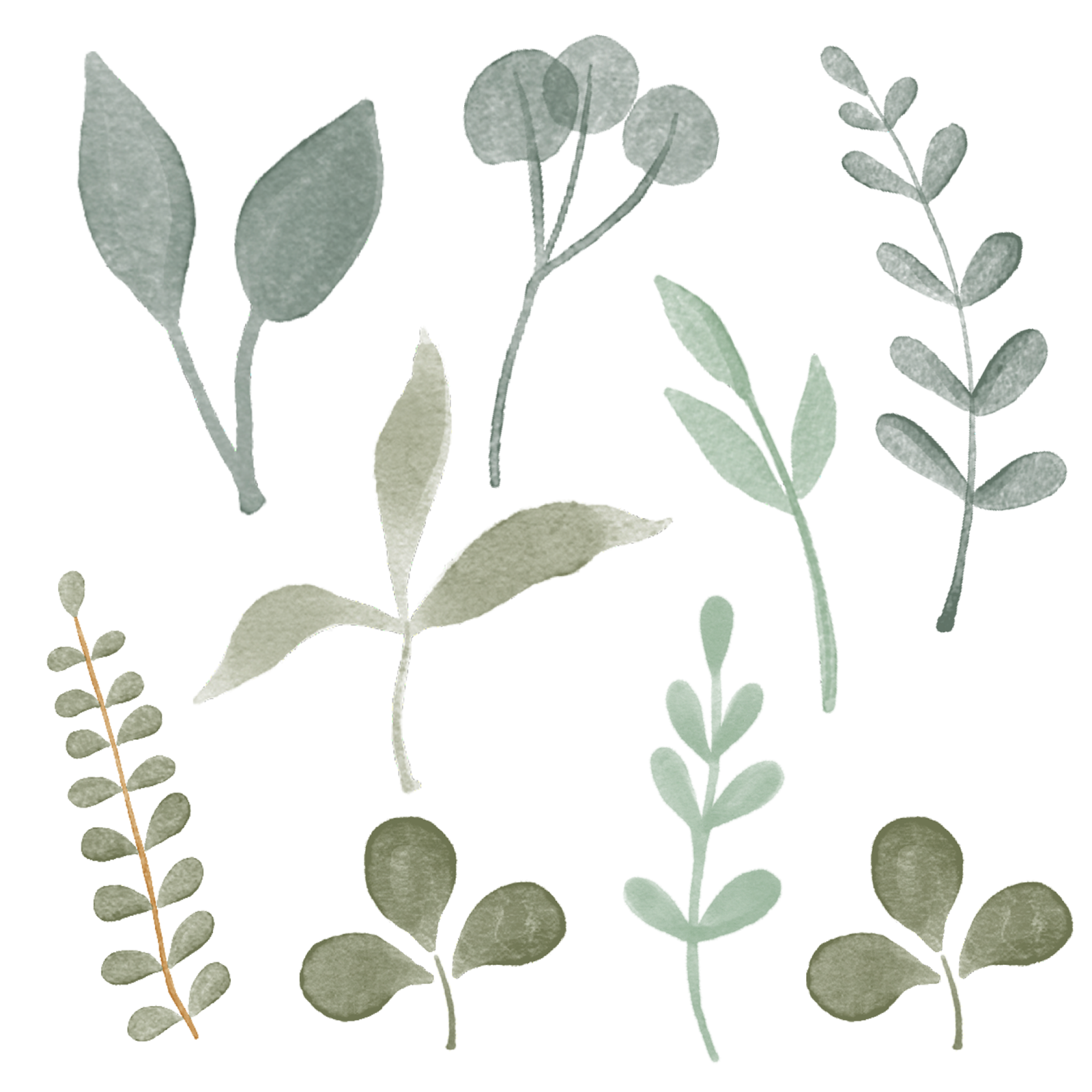 Watercolor Leaf Wall Decals