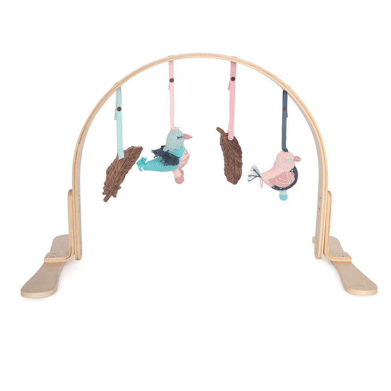 Feathers Play Gym - Project Nursery