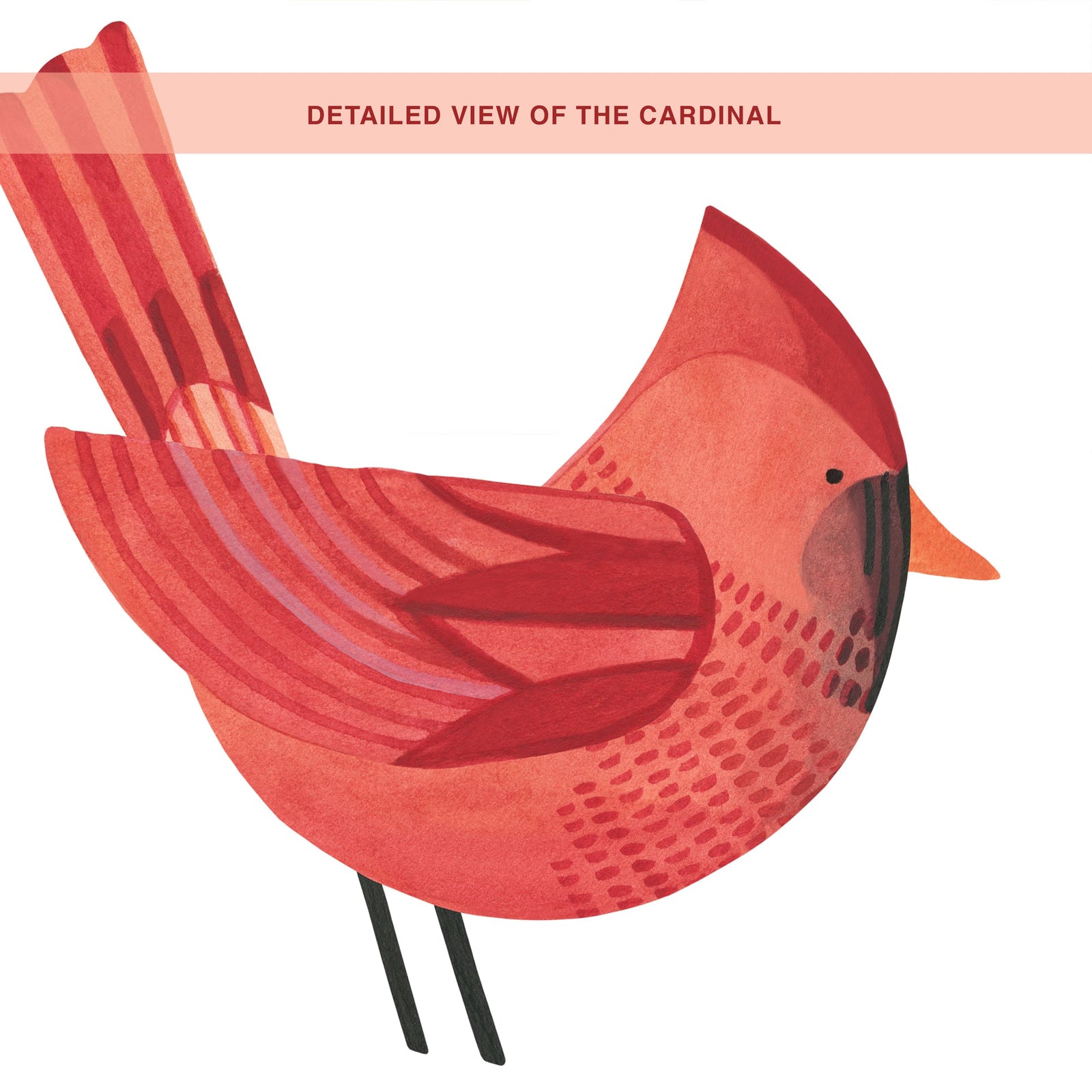 Cardinal Wall Decals