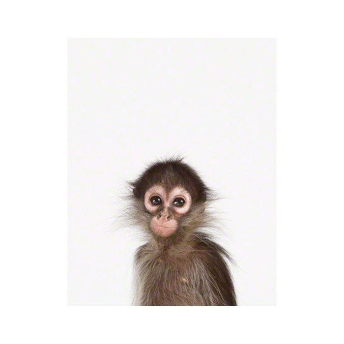 Baby Monkey Little Darling Print - Project Nursery