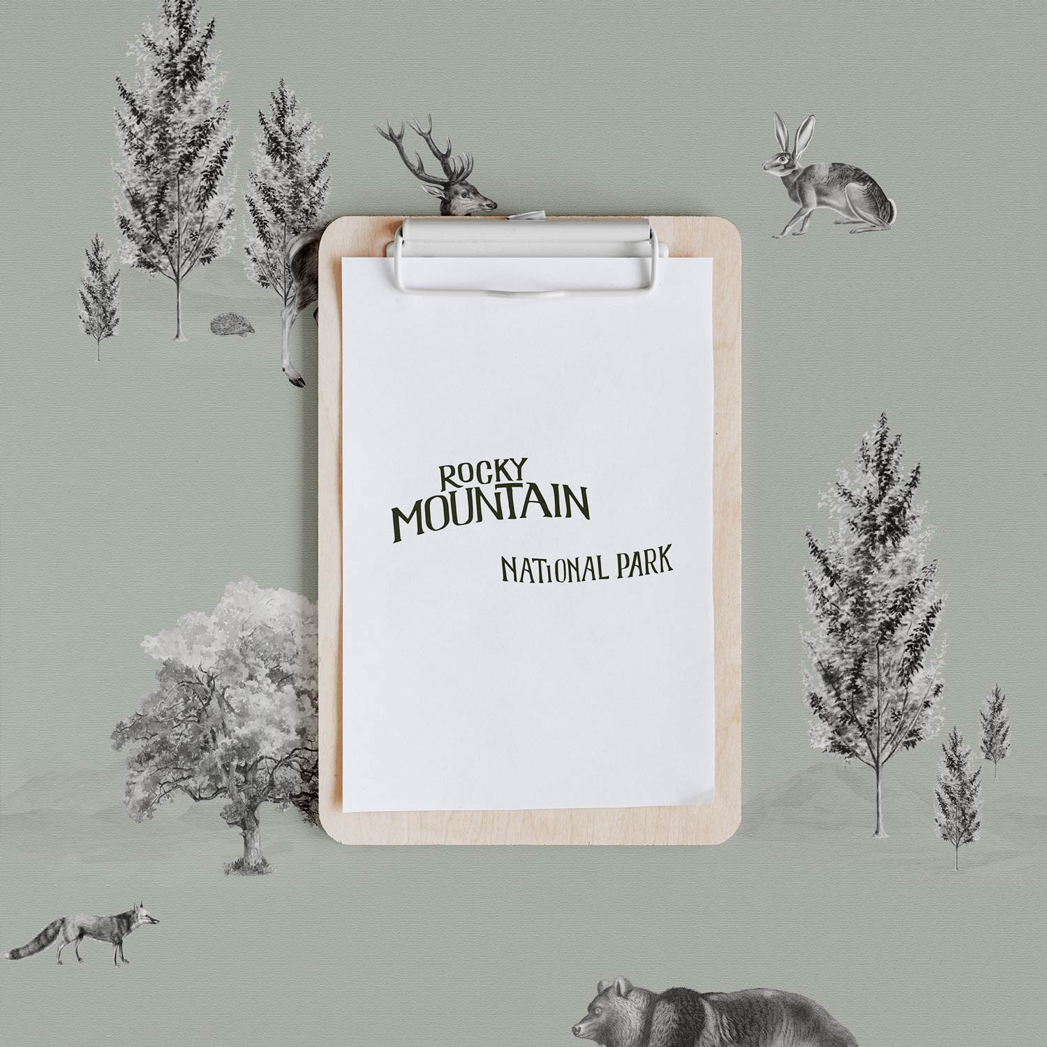 Vintage National Park Theme Wallpaper - Project Nursery