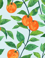 Orange Crush Wallpaper - Project Nursery