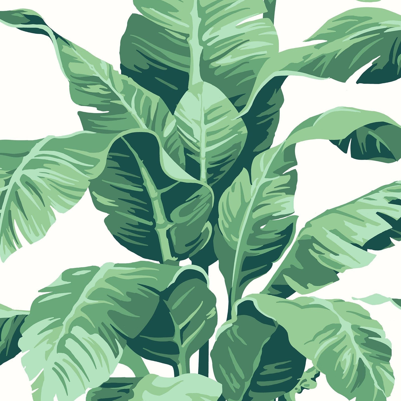 Pacifico Palm Wallpaper - Project Nursery