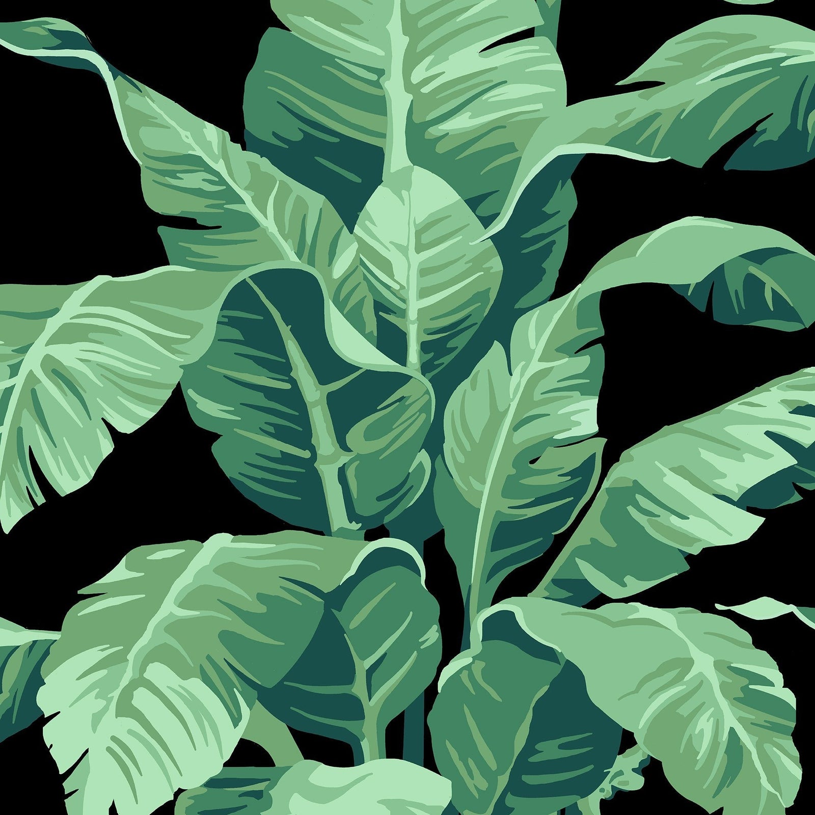 Pacifico Palm Wallpaper - Project Nursery