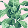 Pacifico Palm Wallpaper - Project Nursery