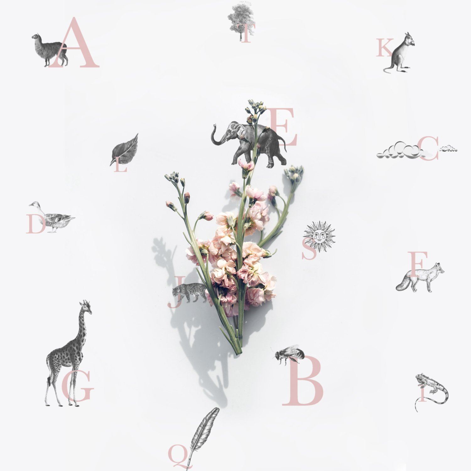 Pink Alphabet Pattern Wallpaper with Illustrations - Project Nursery