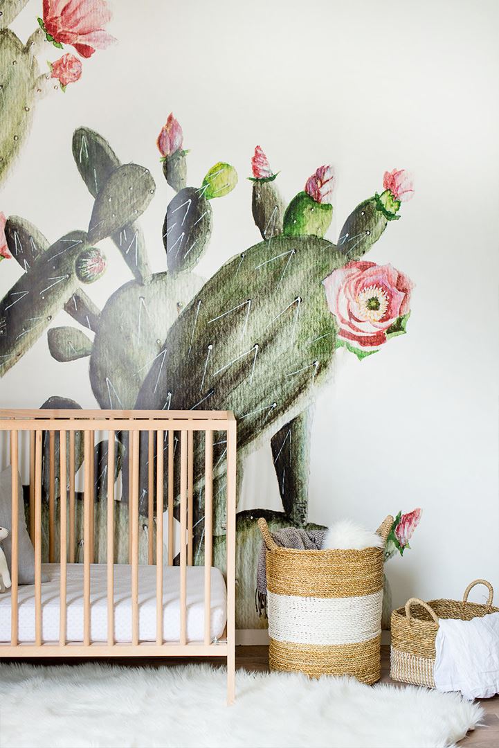 Prickly Pear Cactus Wallpaper Mural - Project Nursery