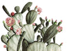 Prickly Pear Cactus Wallpaper Mural - Project Nursery