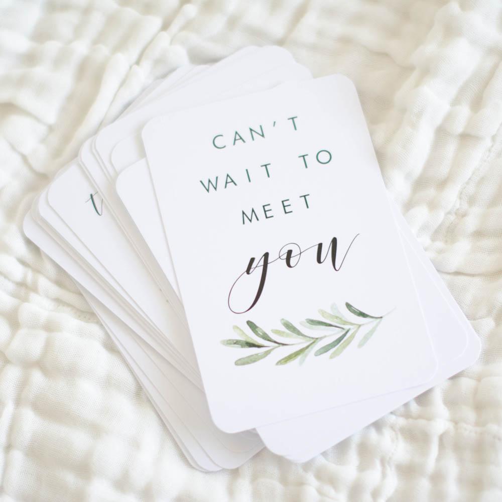 Pregnancy Milestone + Moment Cards - Lush Collection - Project Nursery