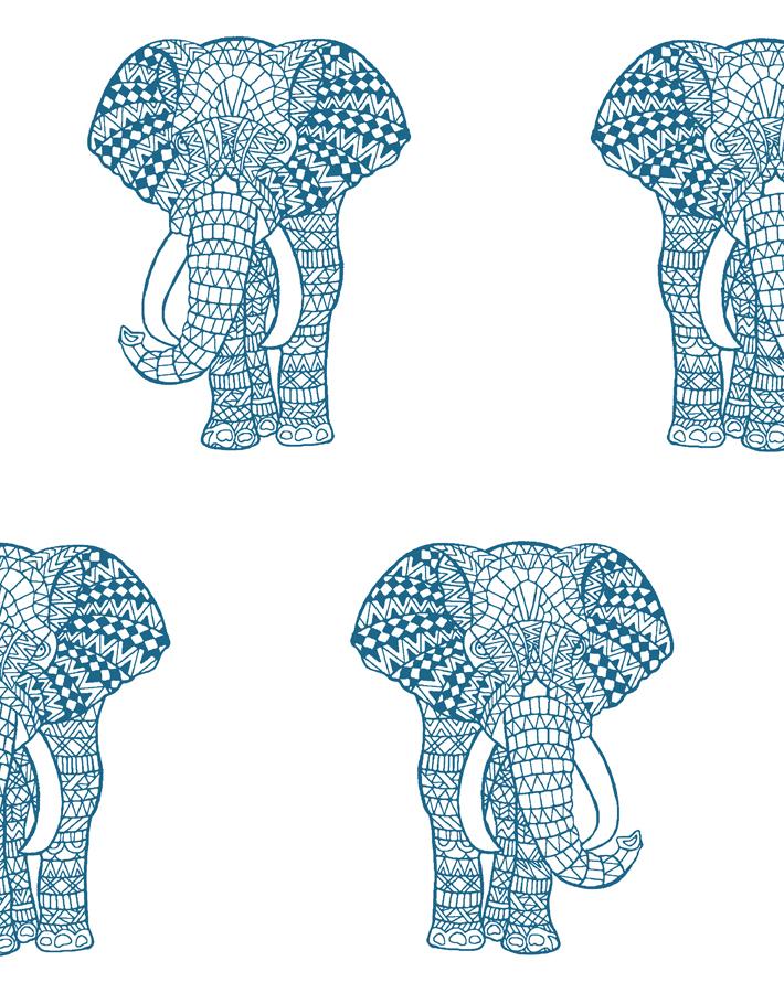 Elephant (laptop) background HD wallpaper | Pxfuel