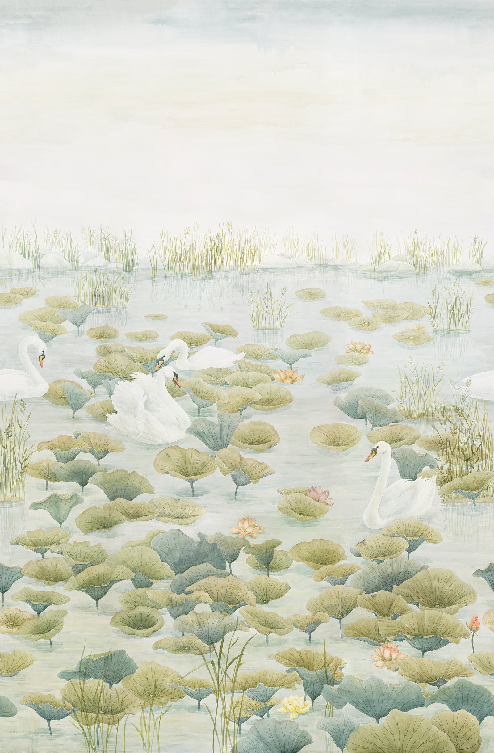 Classic Swan Lake Wallpaper Mural