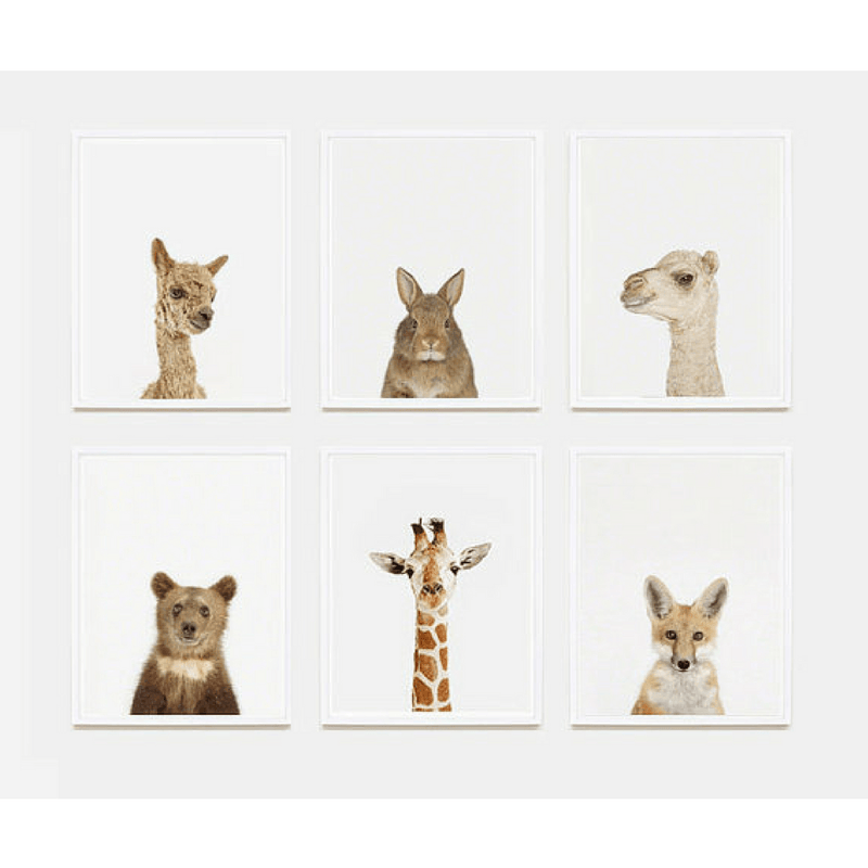Baby Alpaca Little Darling Print - Project Nursery