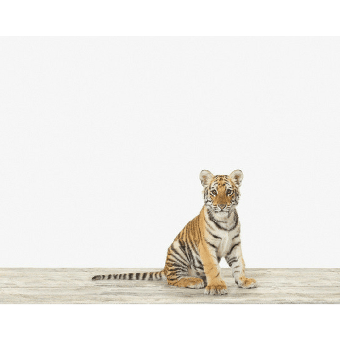 Baby Bengal Tiger Print - Project Nursery