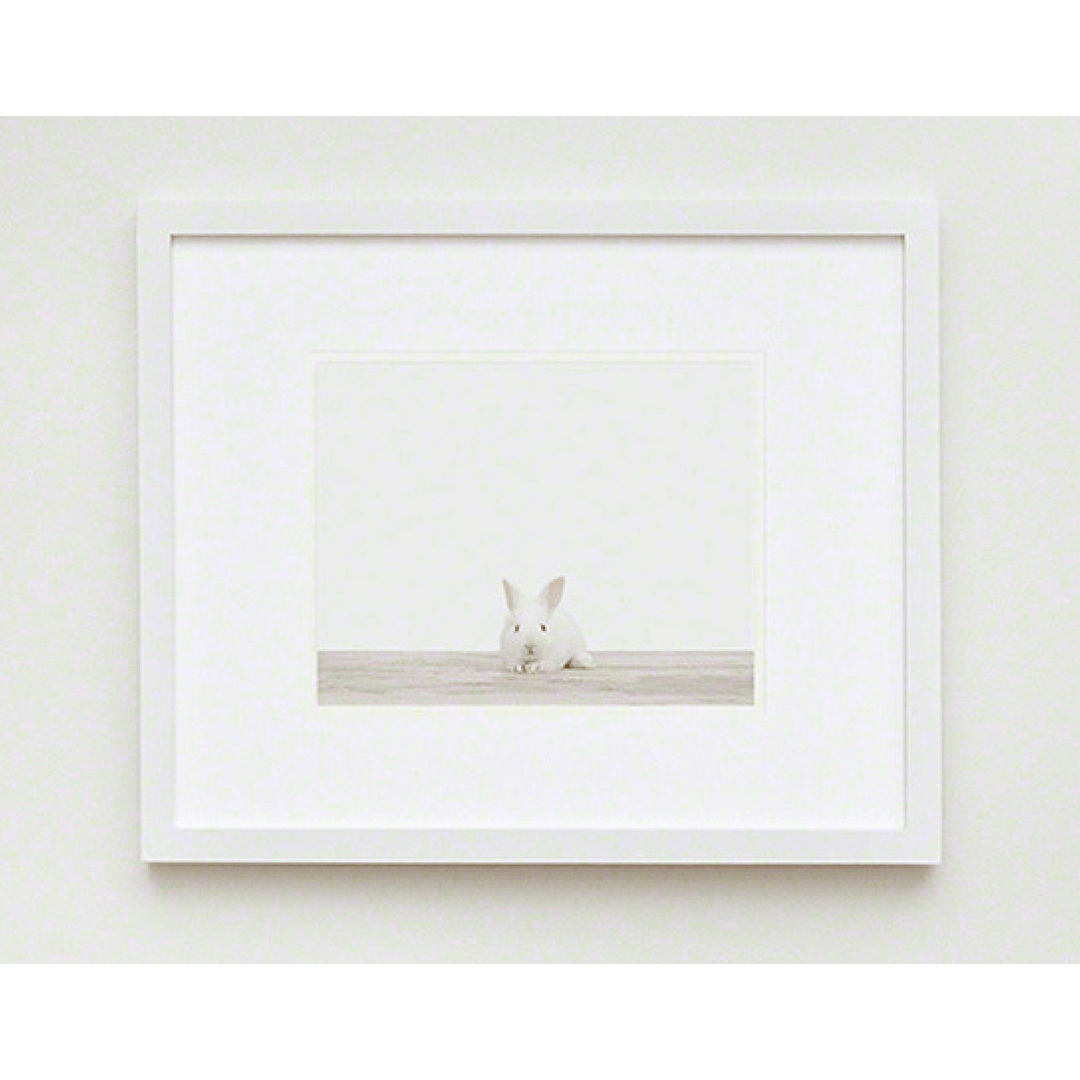 Baby Bunny No. 1 Print