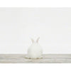 Baby Bunny No. 3 Print - Project Nursery