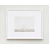 Baby Bunny No. 3 Print - Project Nursery