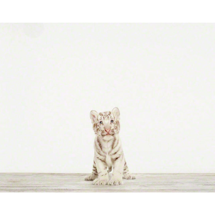 Baby White Tiger Print - Project Nursery