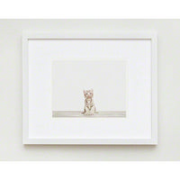 Baby White Tiger Print - Project Nursery
