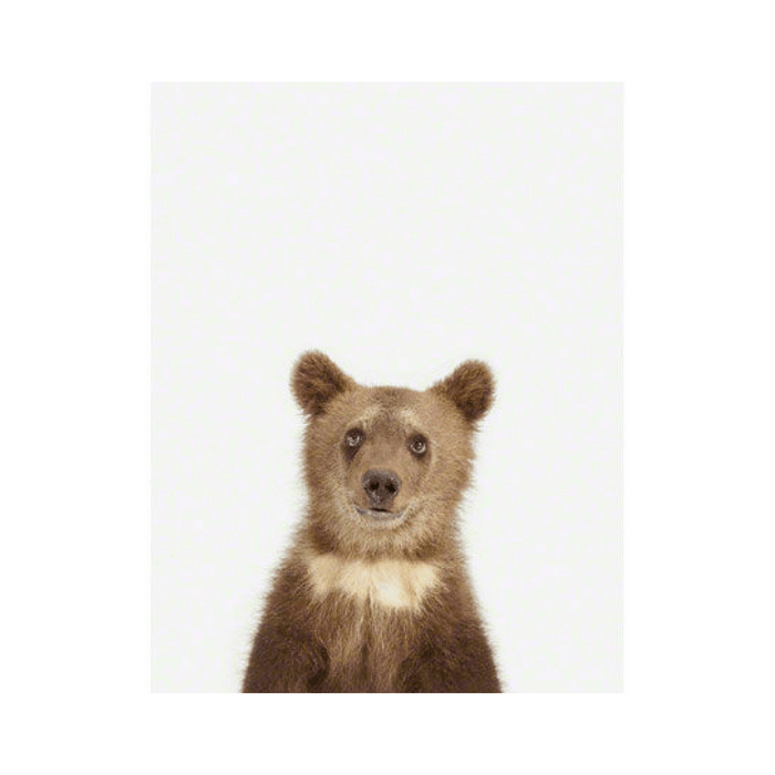 Bear Cub Little Darling Print - Project Nursery