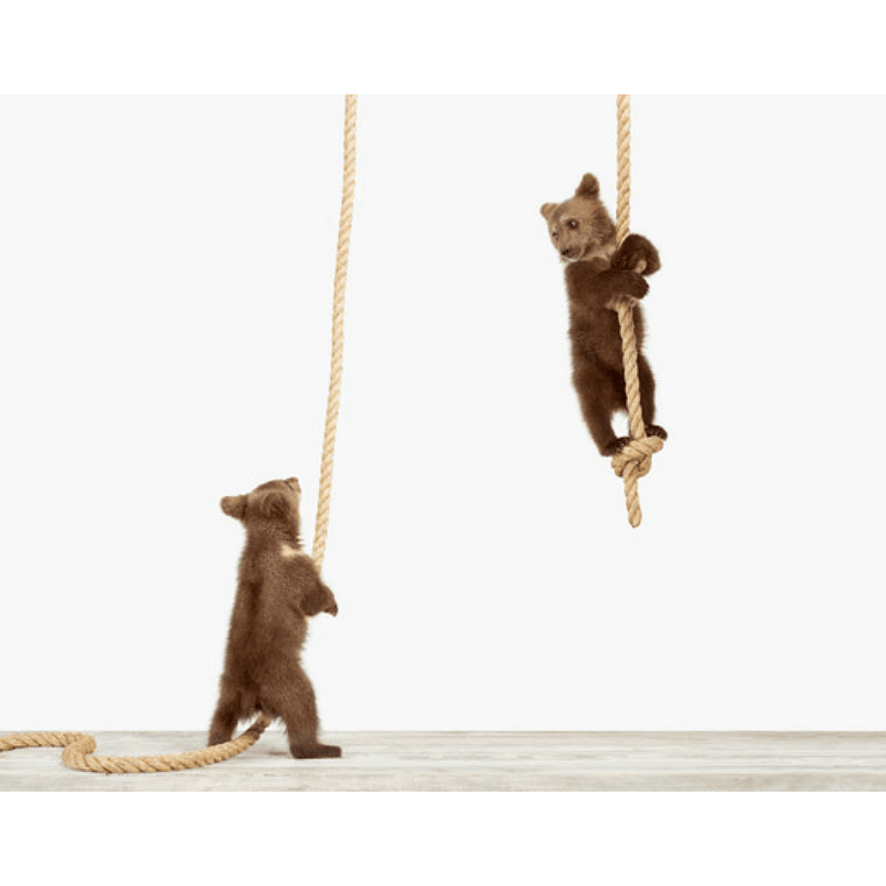 Climbing Cubs Print - Project Nursery