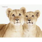 Lion Cub Twins Print - Project Nursery