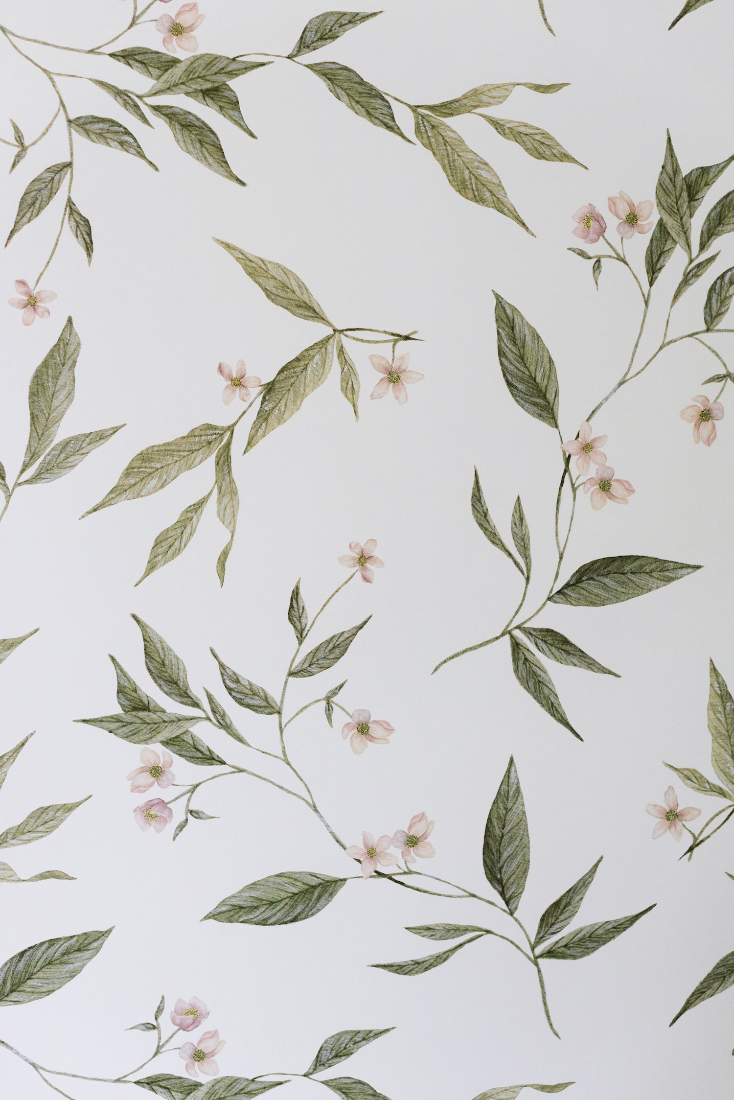 Vines Wallpaper - Project Nursery