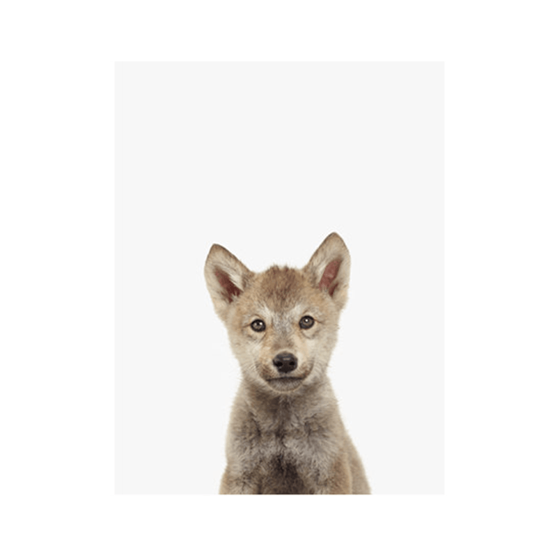 Wolf Cub Little Darling Print - Project Nursery