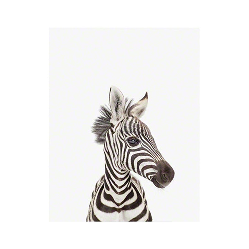 Baby Zebra Little Darling Print - Project Nursery