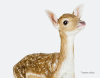 Baby Deer Print - Project Nursery