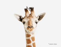 Baby Giraffe Print - Project Nursery