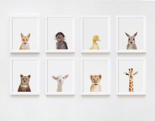 Baby Deer Little Darling Print – Project Nursery