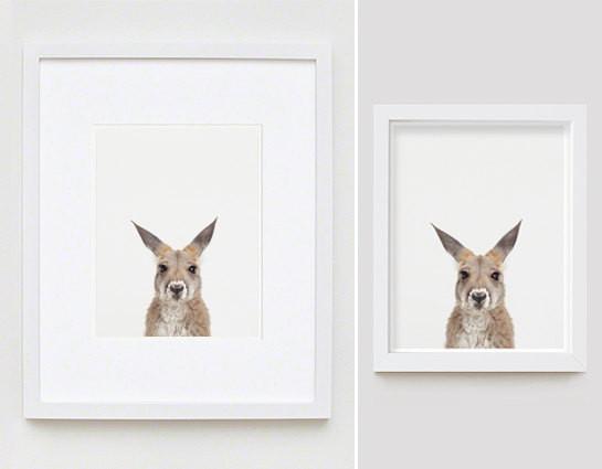 Baby Kangaroo Little Darling Print - Project Nursery
