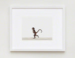 Baby Monkey Print - Project Nursery