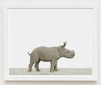 Baby Rhino Print - Project Nursery
