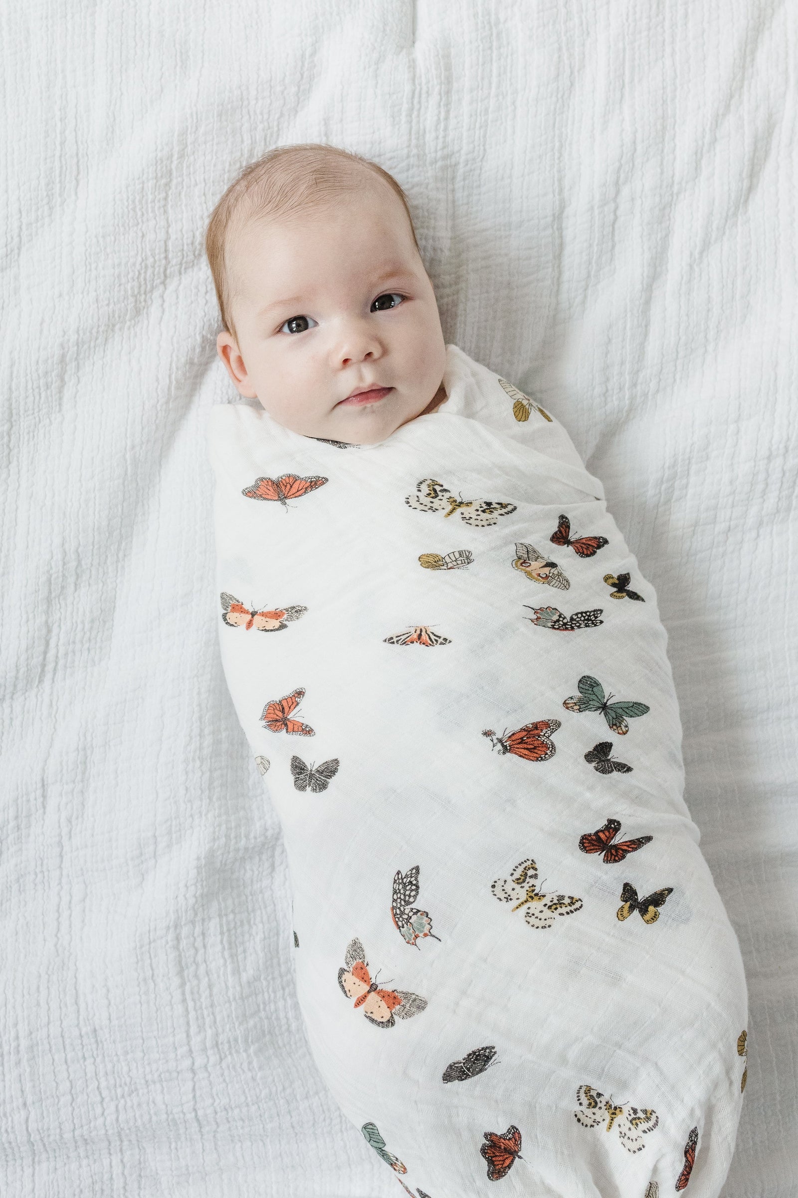 Butterfly Migration Swaddle Blanket