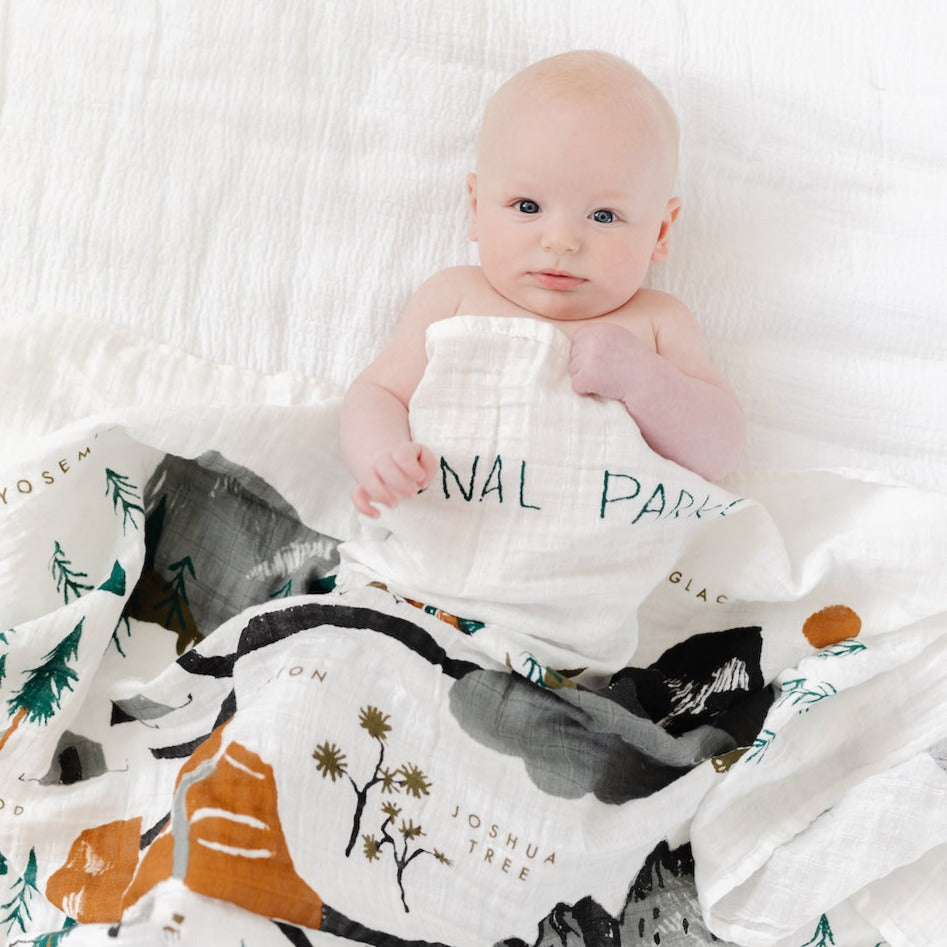 National Parks Swaddle Blanket