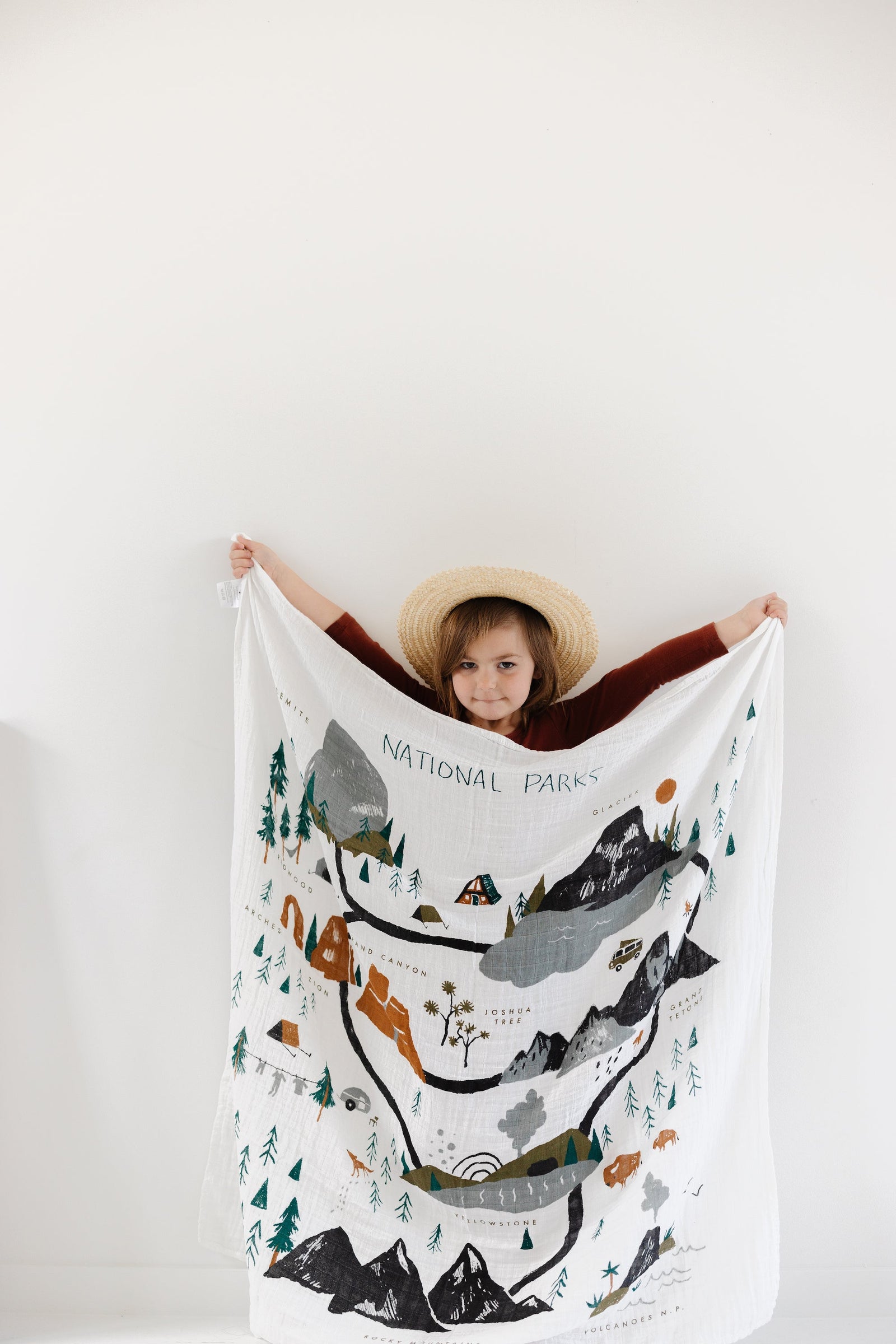 National Parks Swaddle Blanket
