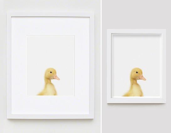Duckling Little Darling Print - Project Nursery