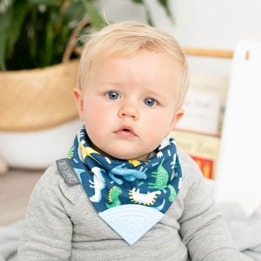 Dribble bib hot sale with teether