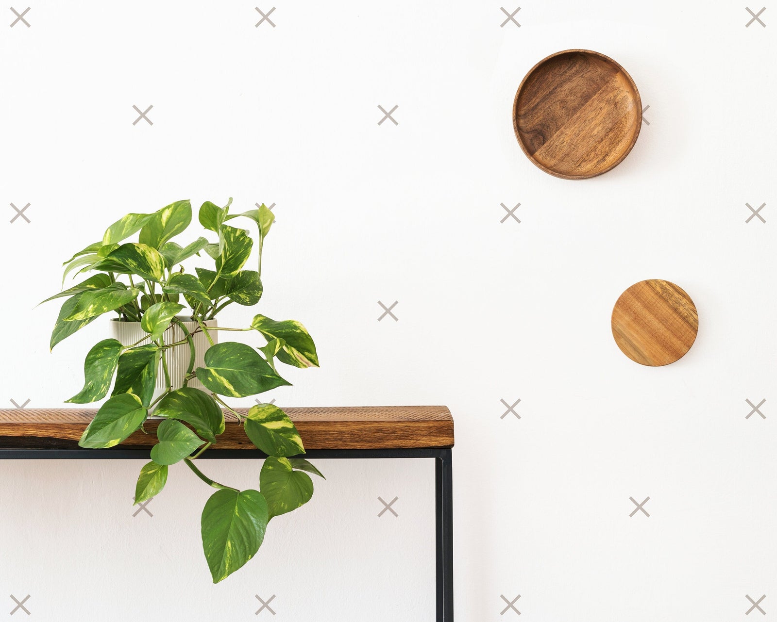X-cellent Wall Decals
